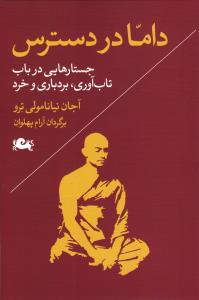 داما در دسترس ( جستارهایی در باب تاب آوری ، بردباری و خرد )