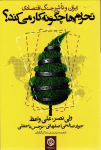 تحریم ها چگونه کار می کنند؟