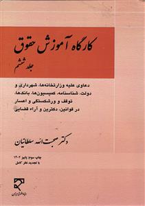 کارگاه آموزش حقوق جلد ششم 6 (دعاوی علیه وزارتخانه ها، شهرداری و دولت، شناسنامه، کمیسیون ها، بانک ها، توقف و ورشکستگی و )