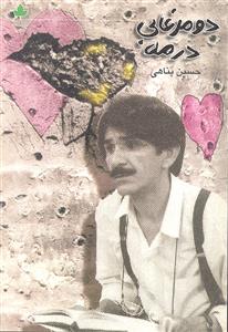 دو مرغابی در مه