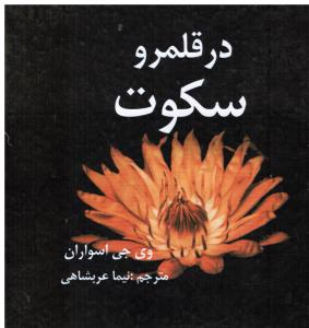 در قلمرو سکوت