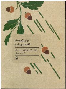 برای تو و ماه نغمه سر دادم (گزینه اشعار)