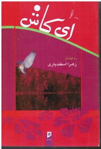 و ای کاش