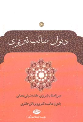 دیوان صائب تبریزی 2 جلدی