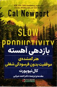 باز دهی آهسته   هنر گمشده ی موفقیت بدون فرسودگی شغلی