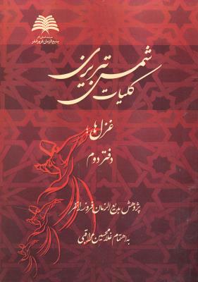 کلیات شمس تبریزی ( غزل ها دفتر دوم )
