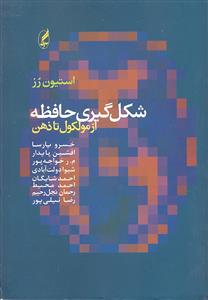 شکل گیری حافظه ( از مولکول تا ذهن )