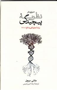 سیری در نظریه پیچیدگی