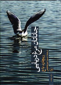 جاناتان مرغ دریایی