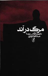 مرگ در آند