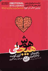 راهنمای به کارگیری هوش هیجانی که به کارتان می آید