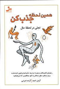 همین لحظه جذب کن  تجلی در لحظه حال  راهنمای گام به گام به همراه ابزارها ، تکنیک ها و فنون اثبات شده
