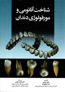 شناخت آناتومی و مورفولوژی دندان