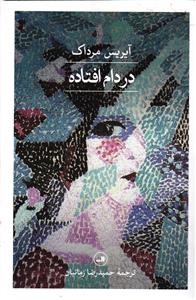 در دام افتاده