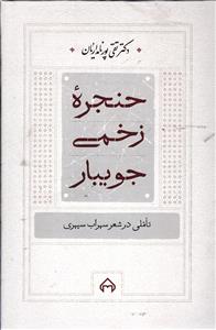 حنجره زخمی جویبار  تاملی در شهر سهراب سپهری